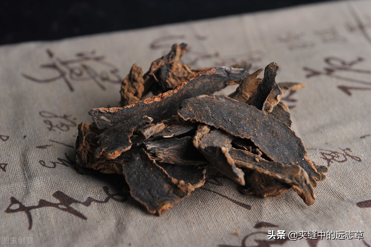 散结能手一味药泡水喝散各种结节,一个方子缓解结节息肉