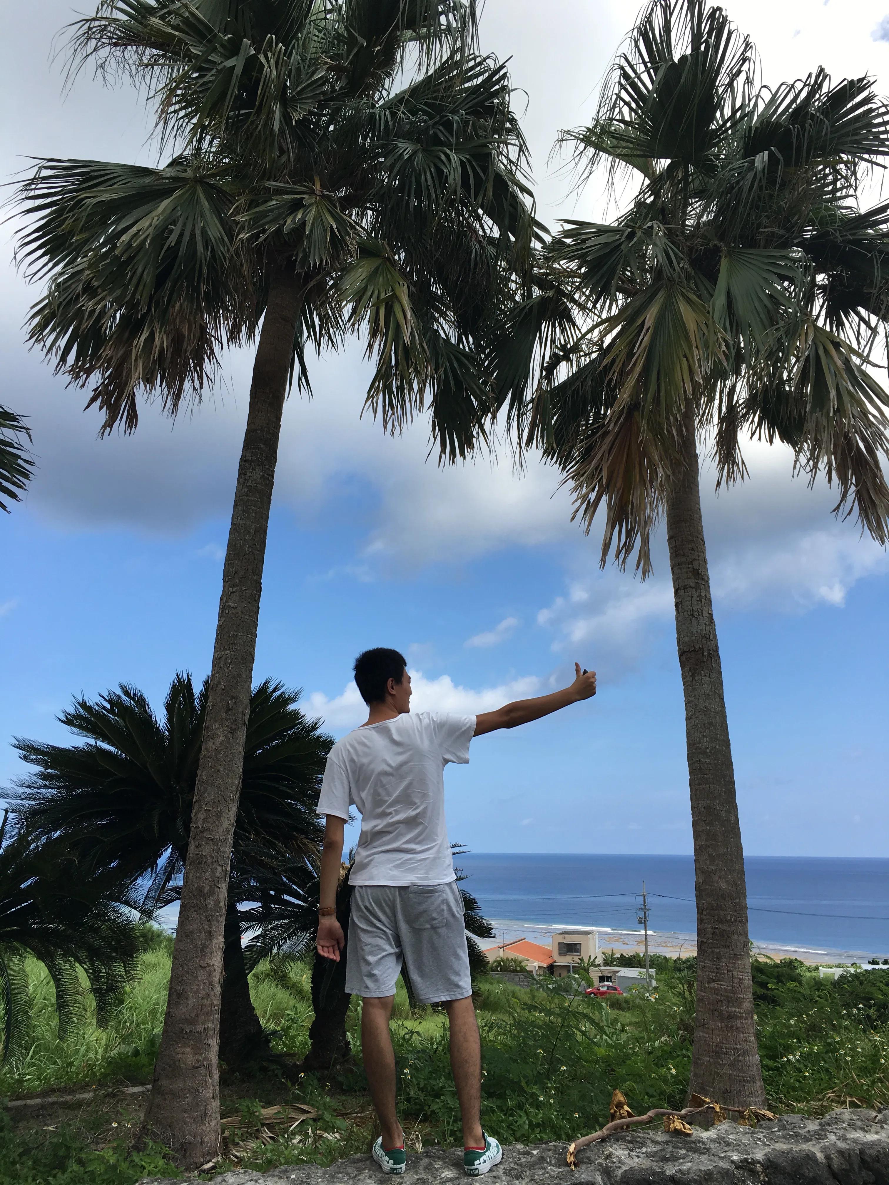 日本冲绳旅游攻略11月份最新,一个人的冲绳旅游探索未知的乐趣