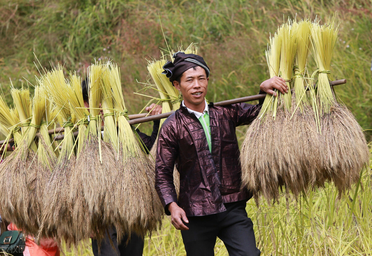 柳州特产螺蛳粉价格,螺蛳粉是哪个地方的特产柳州