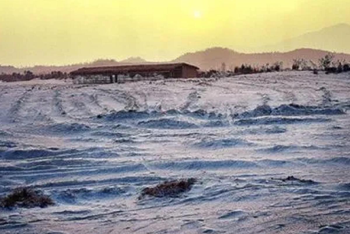 日本“好心”提出大米换砂，周恩来总理听后大手一挥：门都没有