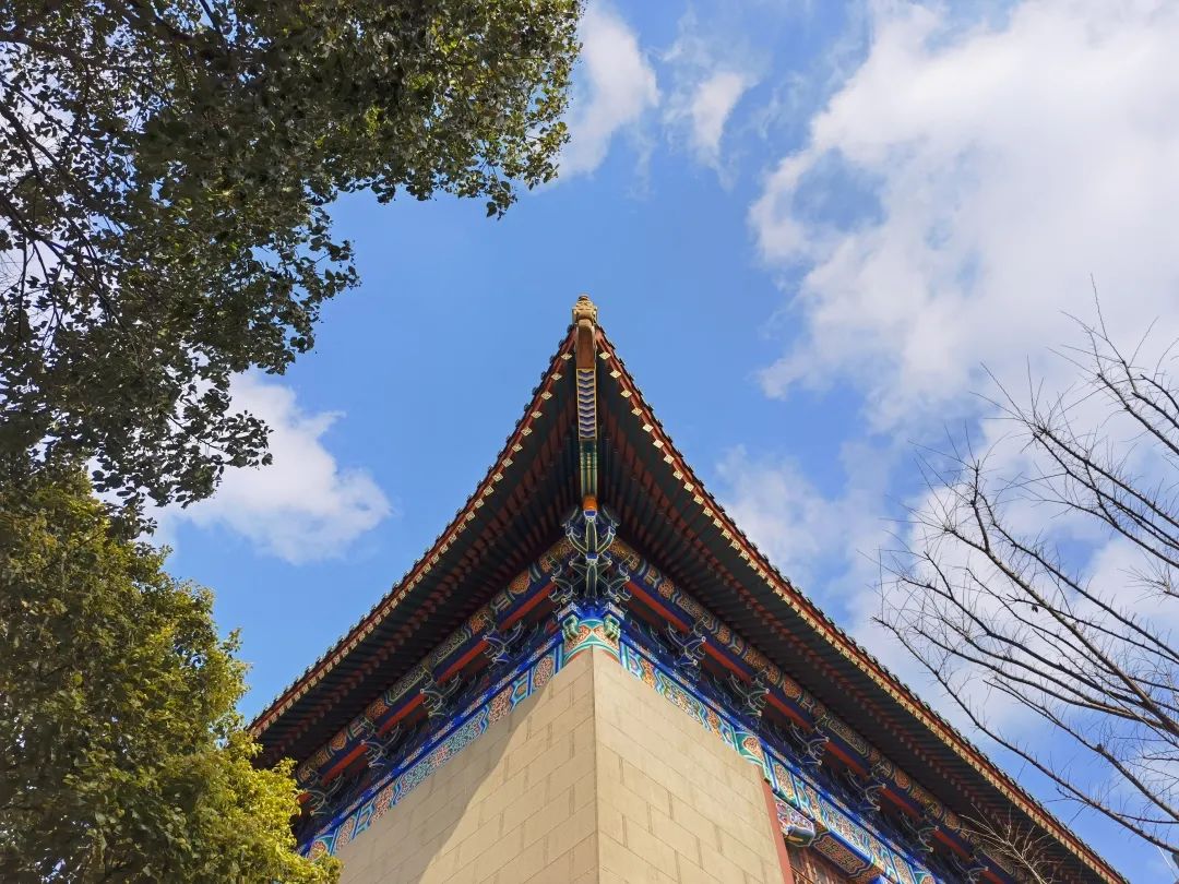 上海体育学院是双一流大学吗,上海体育学院是不是双一流