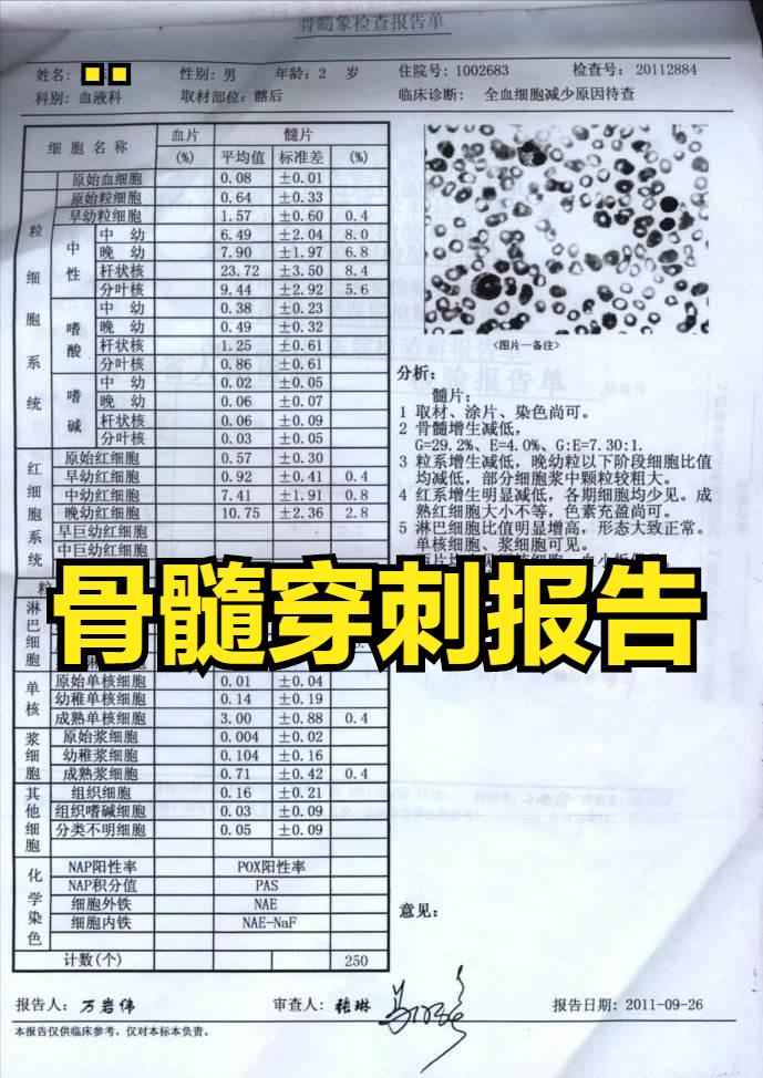 血小板偏低吃什么补得快,哪里有治疗血小板低的老中医