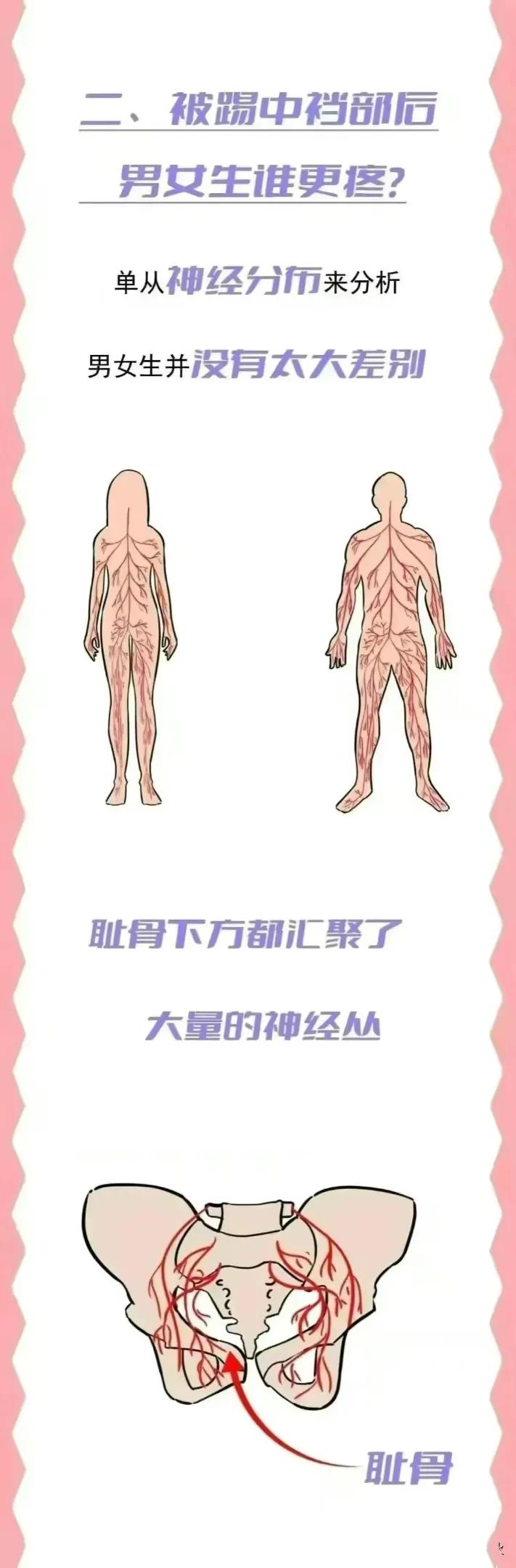 “女生被踢中裆部”VS“男生被踢中裆部”，谁会更严重？不妨了解