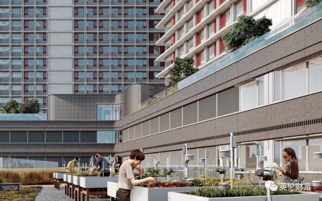 伦敦新地产项目,伦敦新开发楼盘