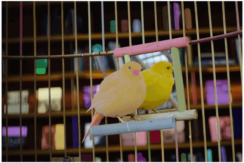 蝰蛇峡谷怎么开vt,蝰蛇打法思路