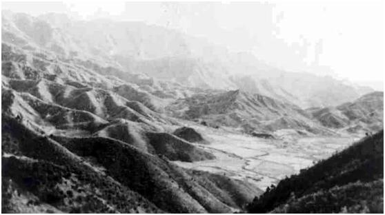 《*击狙**手》幸好改名，要不然真对不住这真正最冷的枪、最可爱的人