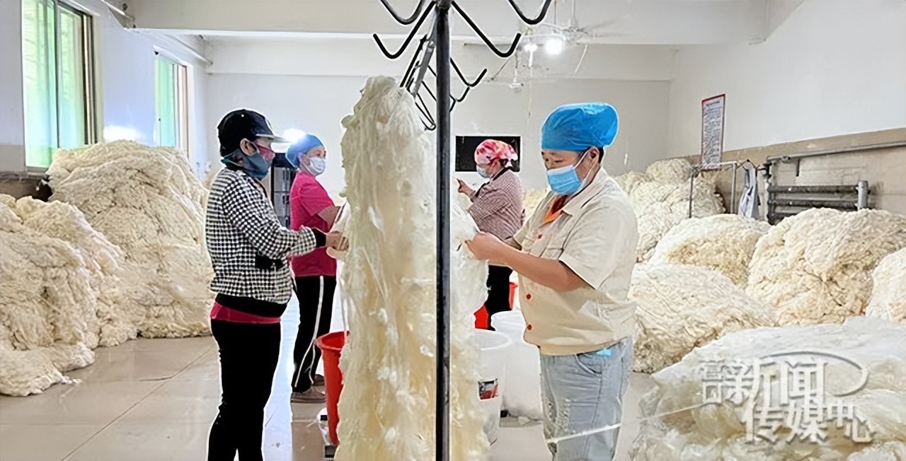 山乡巨变农业发展,山村新巨变