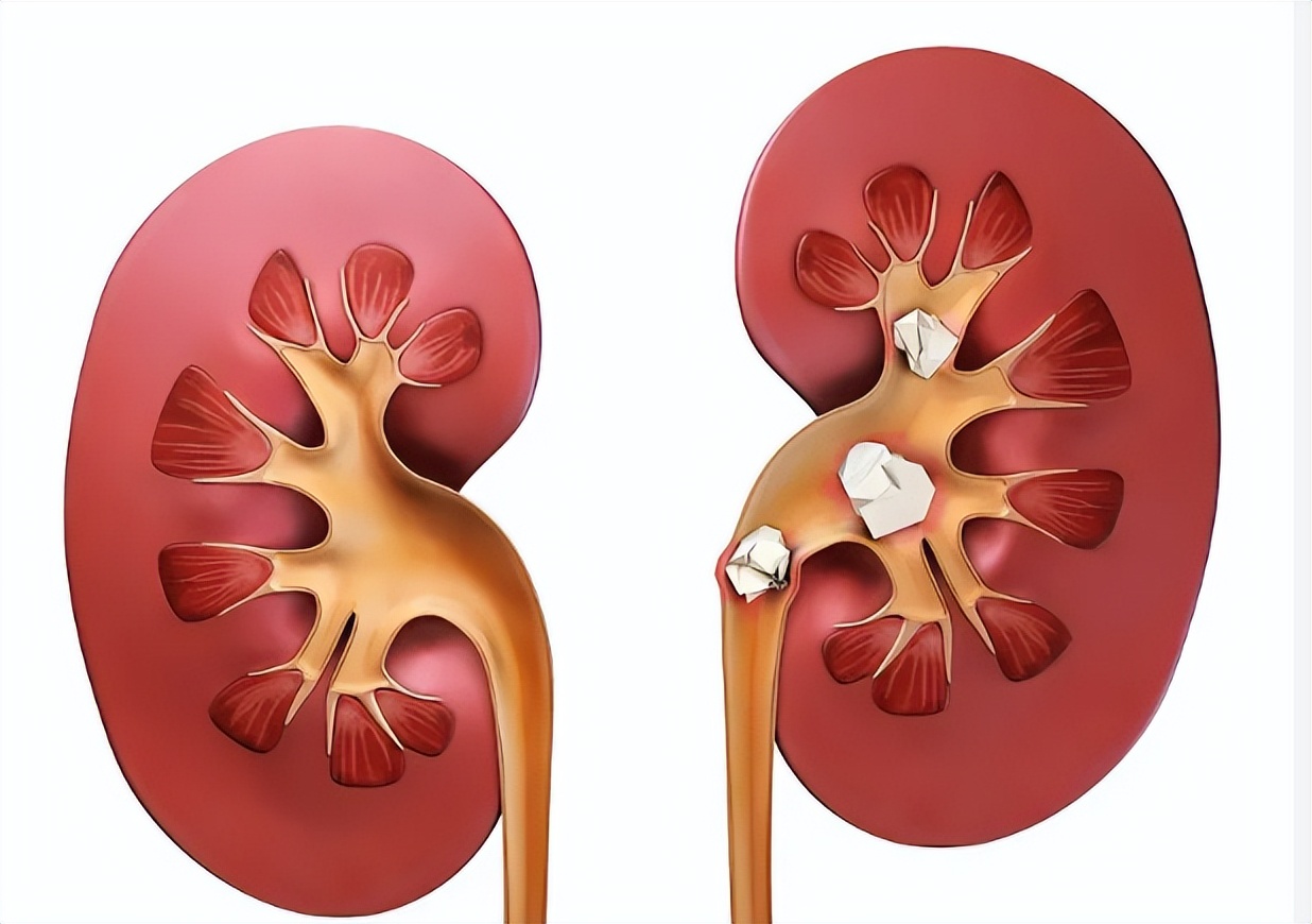 睡前喝牛奶弊端是什么,喝牛奶加鸡蛋等于服毒吗