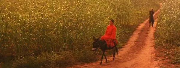 潍坊按摩的好地方,潍坊哪个县好玩