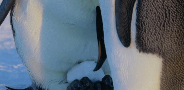 暑假怎么教育孩子,暑假怎么教育初中儿子