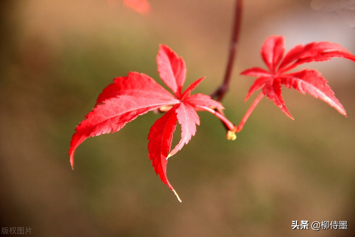 拍照不好看只要学会这些小技巧,摄影大师教你拍照技巧
