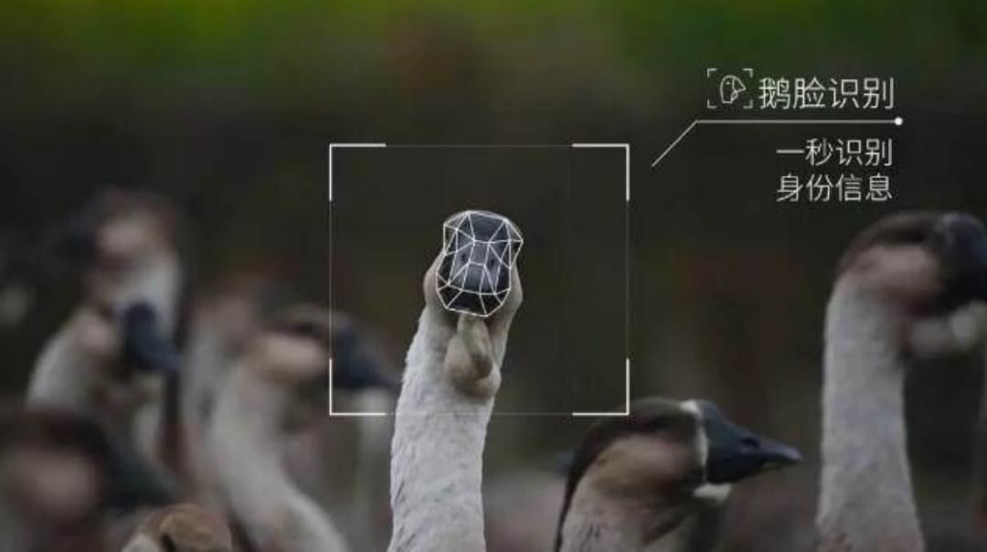 2023热点营销日历：179个重要节日+46个关键事件+12个经典案例