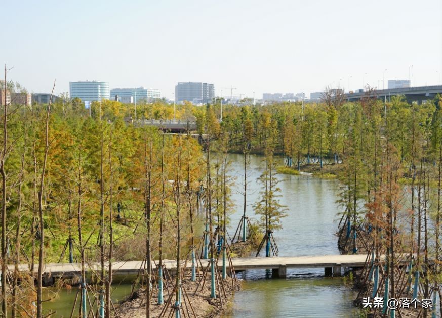 汤臣金桥花园西地块三期,汤臣金桥花园别墅