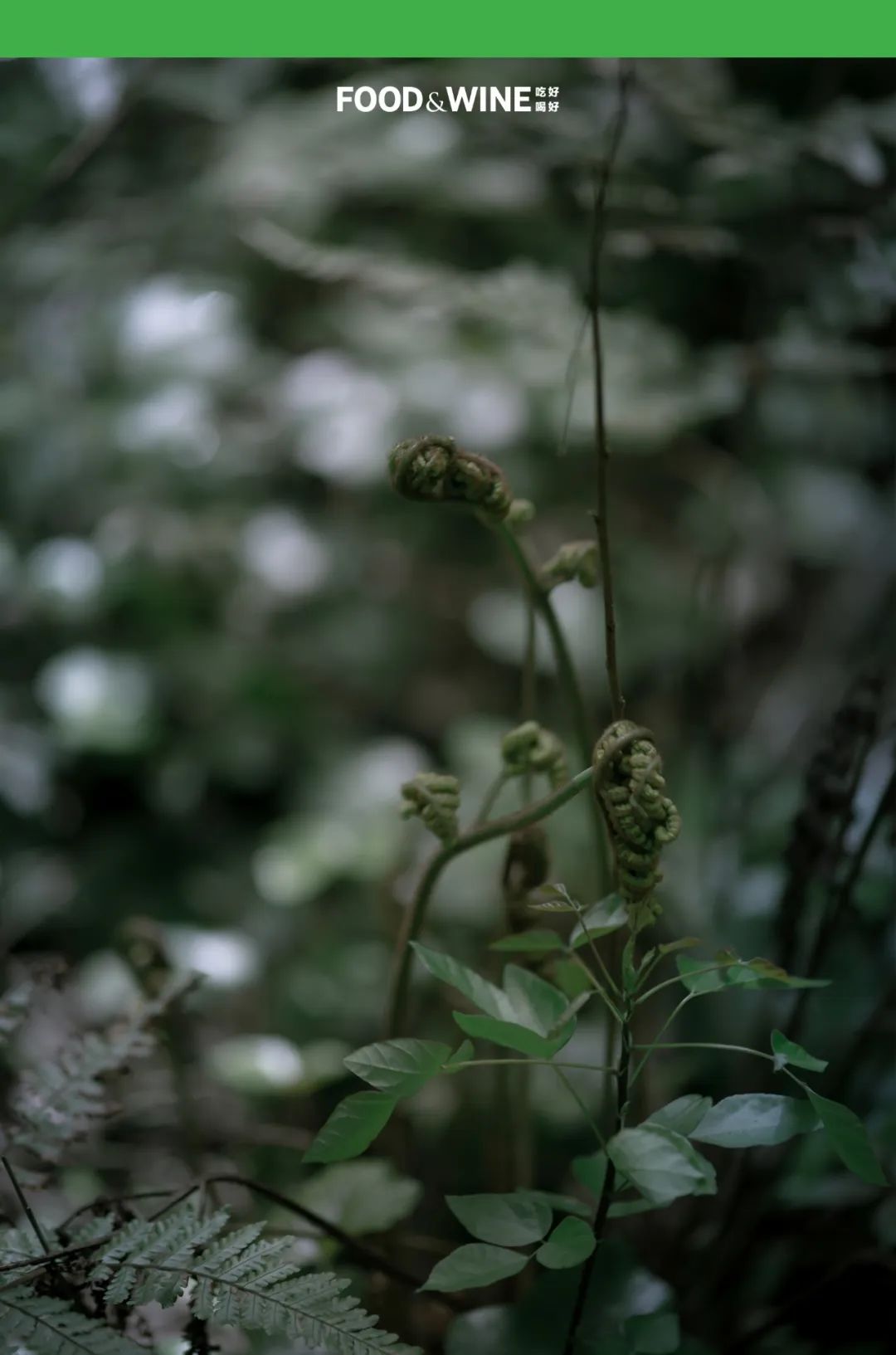 涓囧绂呭鏂嬮キ,鏅痉闀囧搴欏悆鏂嬮キ