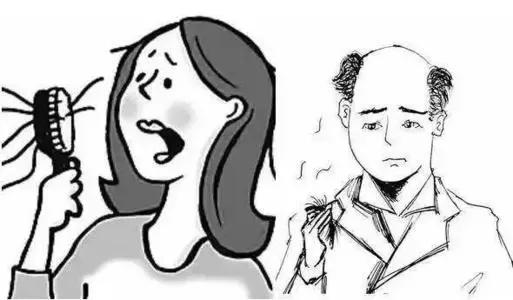 头顶秃植发多少钱,头顶轻微脱发植发多少钱