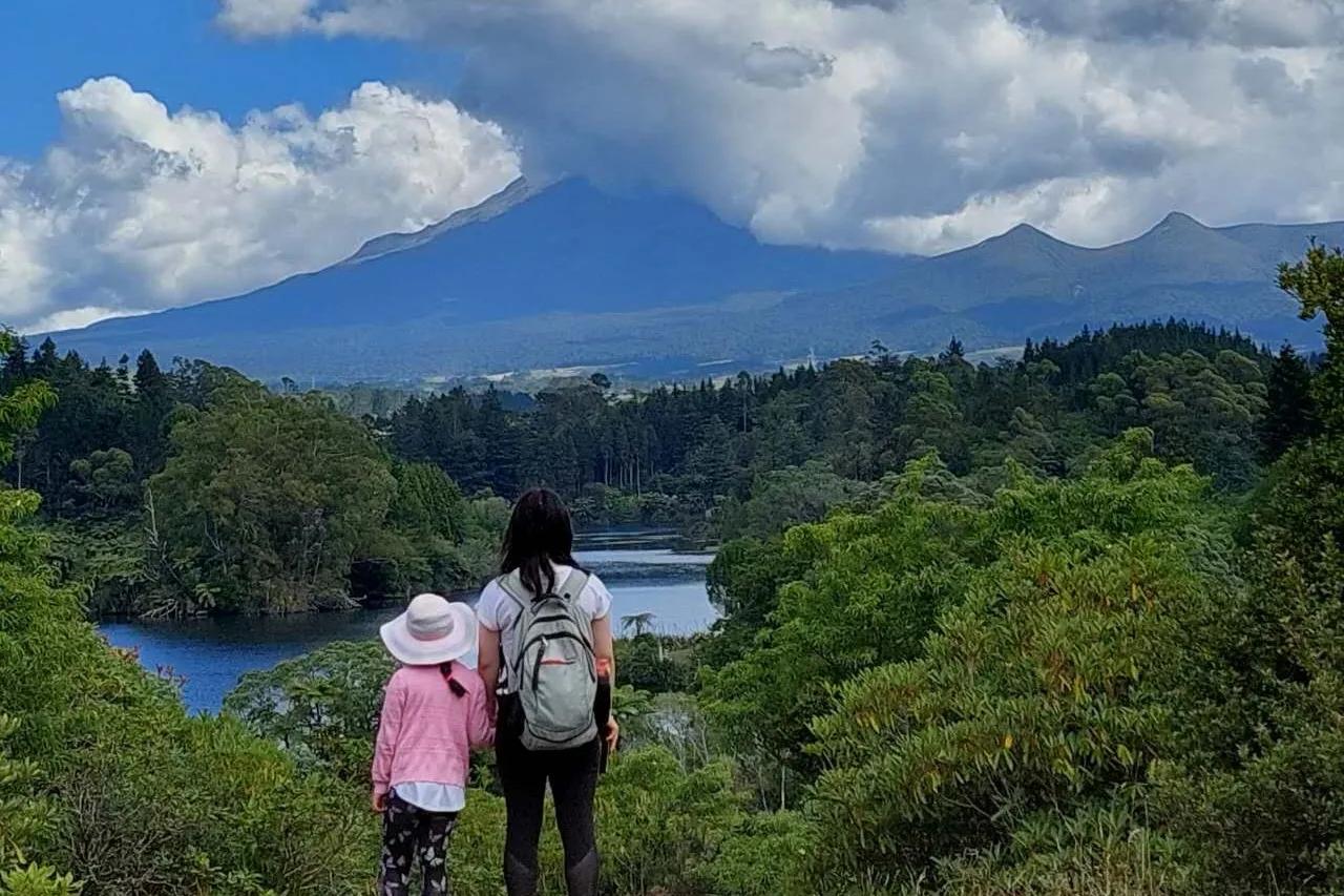 卯兔贺岁迎新纳福,卯兔新年作品