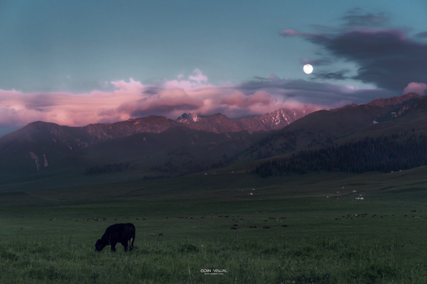 去新疆发现伊犁的美,世界之美尽在伊犁