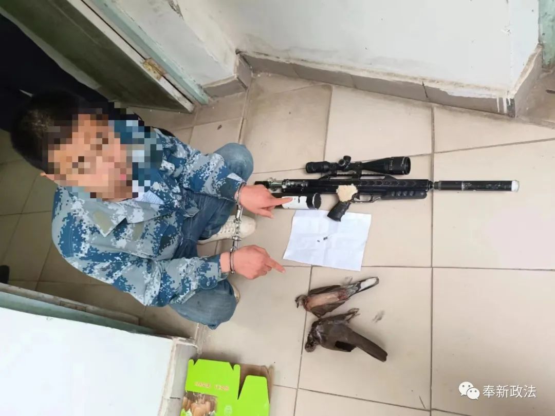 警方成功侦破一起非法狩猎案,遂川民警成功破获一起非法狩猎案