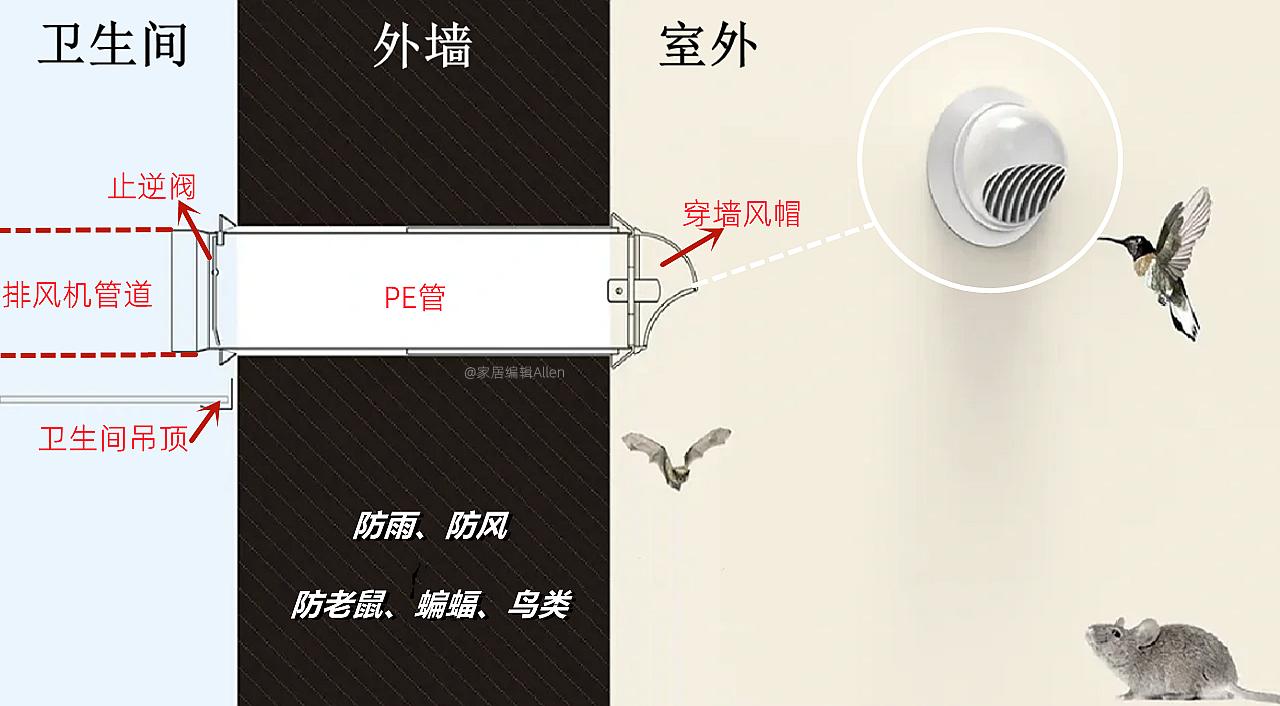 房屋装修最好用什么建材 (装修材料不值得花钱的10个地方)