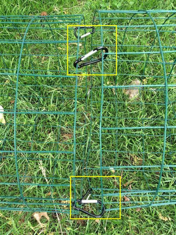 就喜欢养点花花草草,在楼顶菜园用笼子养鸡