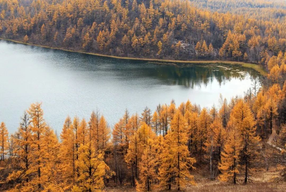 鍐呰挋鍙ゅ宸磋兒椋庢牸琛ｆ湇,澶氬反瀹夌┛鎼唴钂欏彜