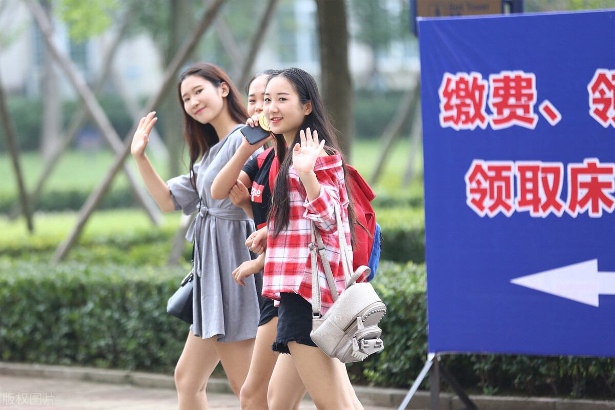 女主是个玄学大佬有很多哥哥,女主是玄学大佬的小说无cp