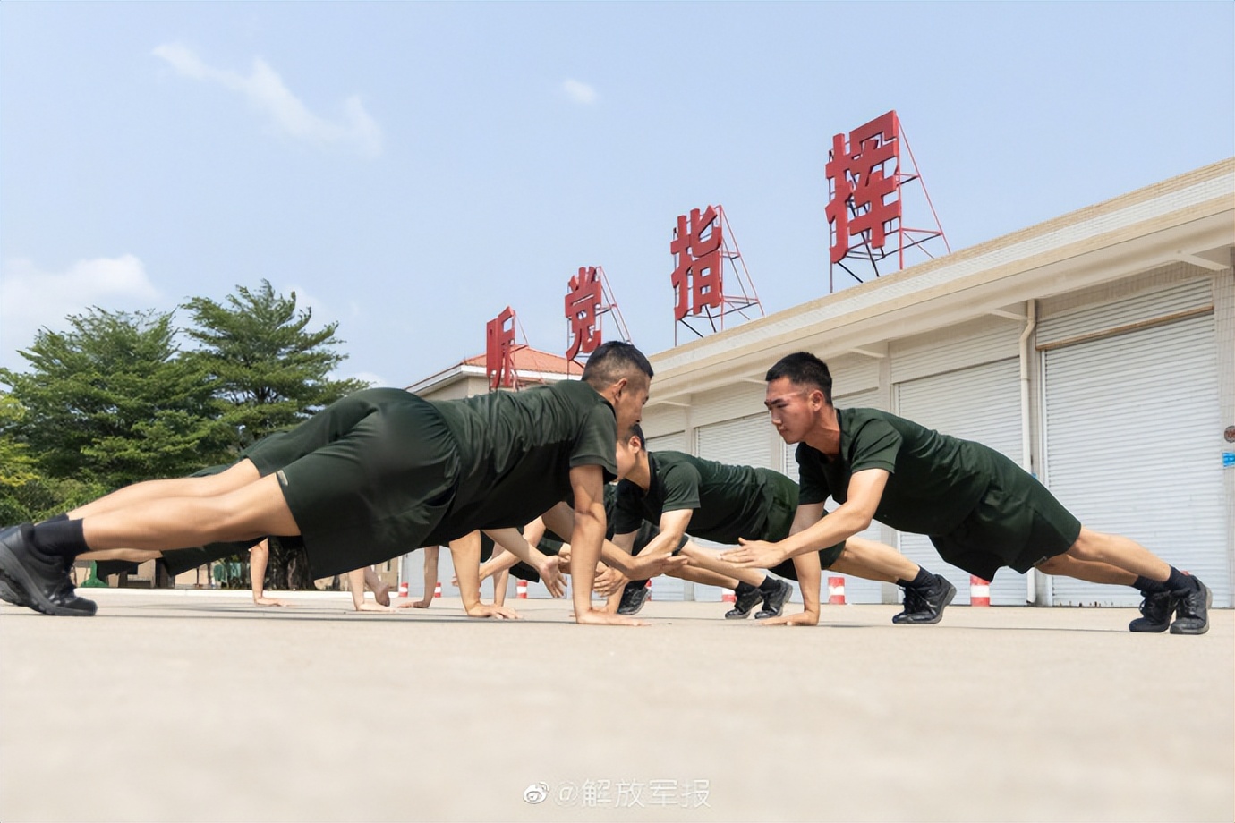 竞技性的体能训练,竞技体能训练和健康体能训练