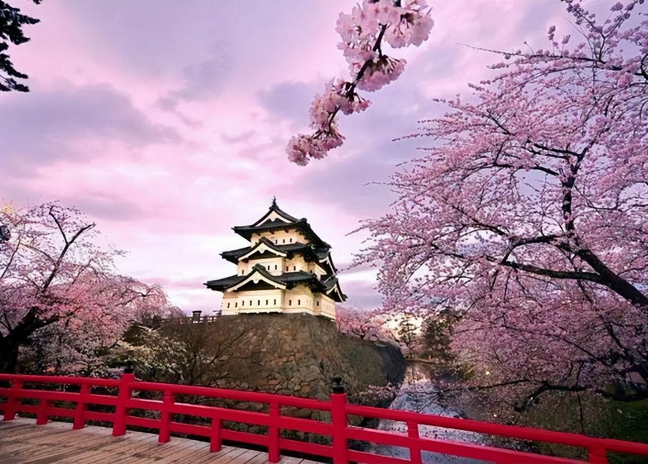 日本导游为什么需要绿色的背包,日本人旅游背双肩包吗