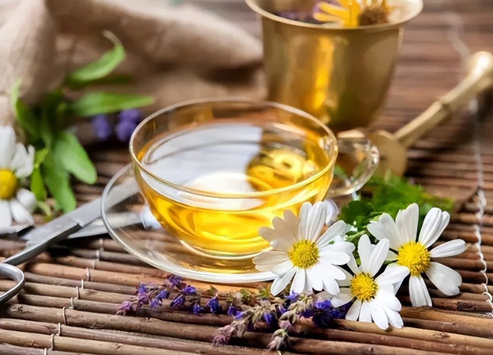 菊花买哪一种菊花比较好,4种菊花你选哪一种