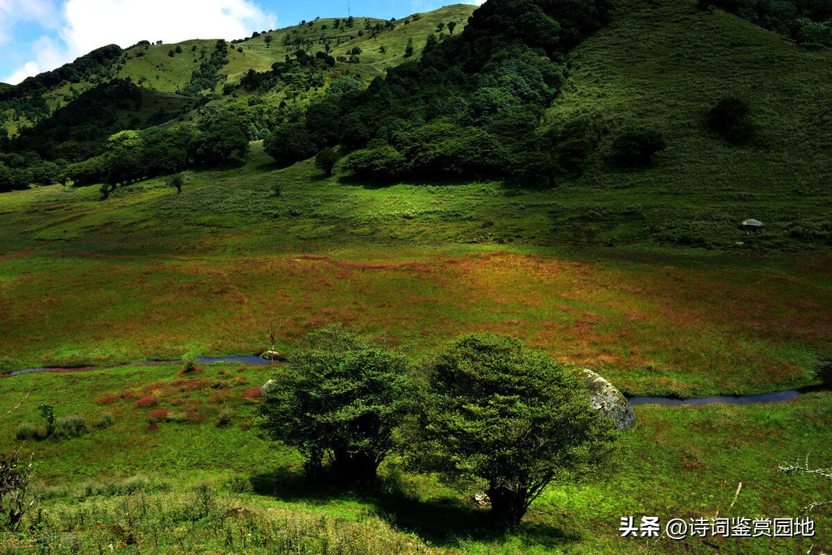 姊呭哀鑷ｄ笁棣栬瘲鍏ㄦ枃,姊呭哀鑷ｈ瘲涓ら鍏ㄦ枃