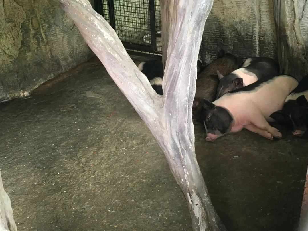 旭光电动车行,旭光车行向阳路