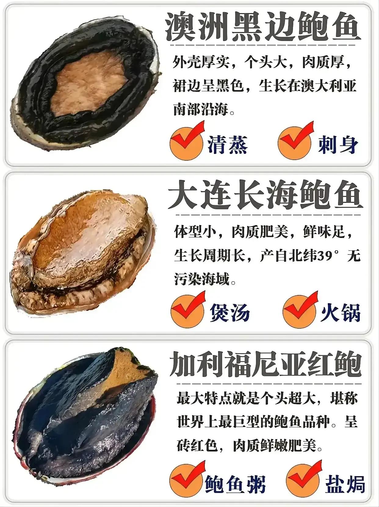 鲍鱼很多种不认识？教你它们的区别和口感，以及吃法