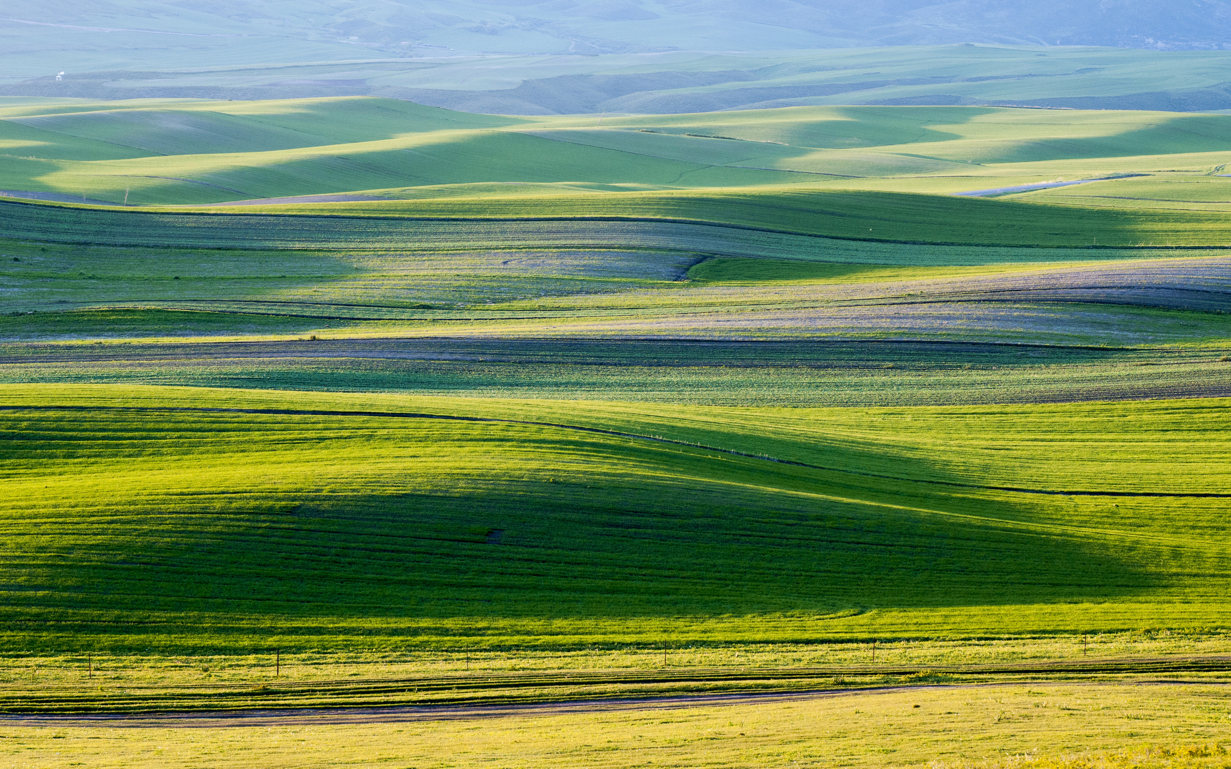 固本培元廉洁文化,厚植廉洁文化守牢廉洁初心