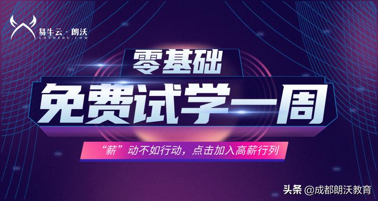 it培训机构能学吗,it培训机构可以学吗