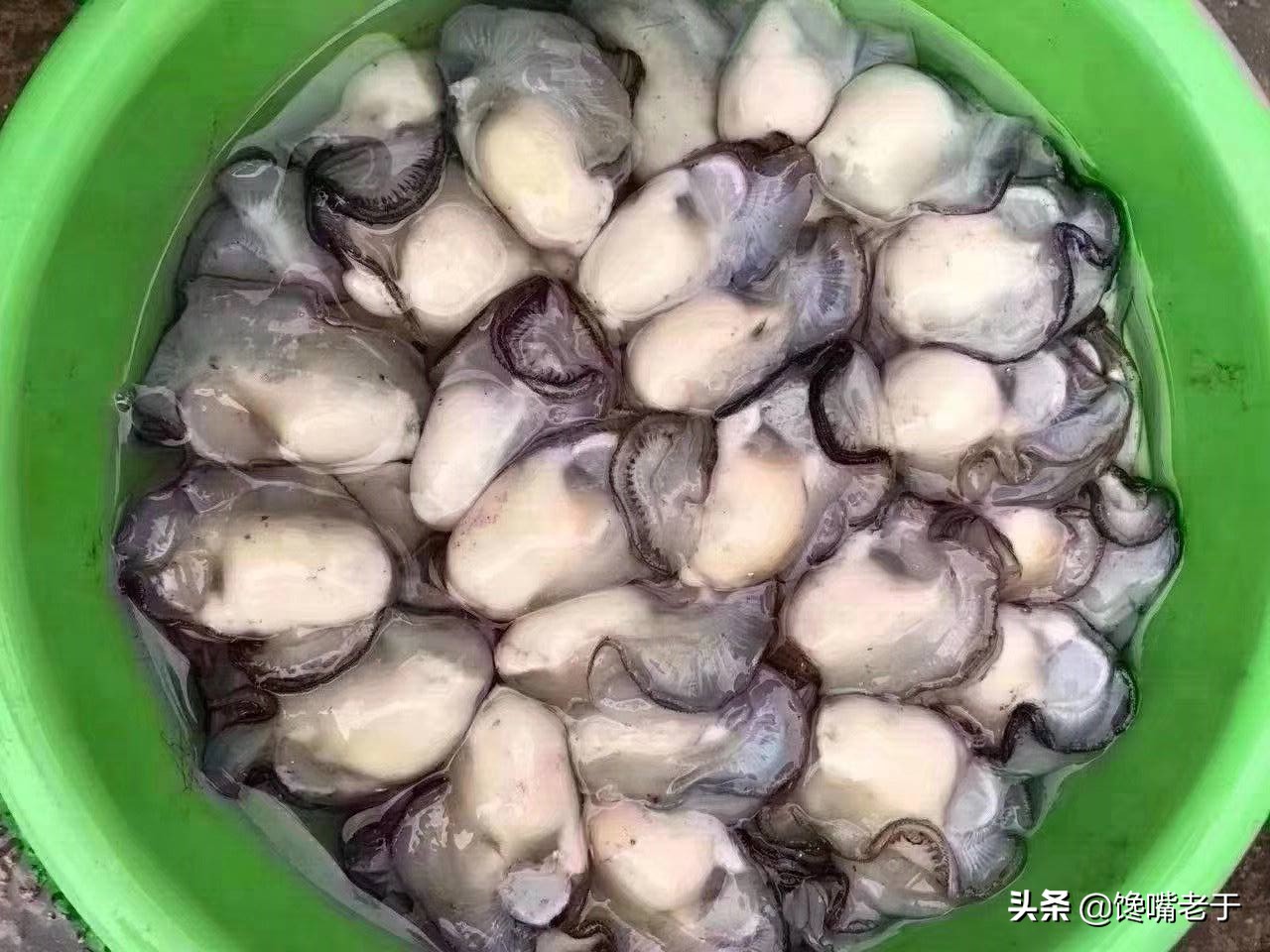 冬天多吃这几种天然青霉素食物,有天然青霉素之称的食物