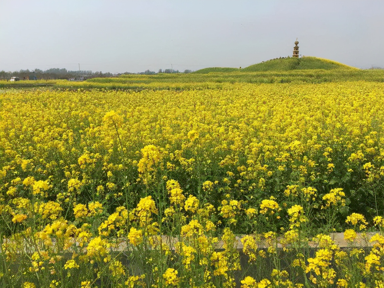 全国最佳创业城市临沂,2021十佳宜居城市临沂