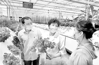 乡村振兴资金项目监督检查,紧盯问题整改强化日常监督