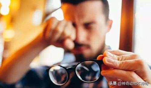 致命毒蝎号称“穷人的*品毒**”，巴铁还把它当烟抽，它有什么魔力？