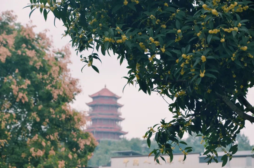 德阳中江县美食店,美食中江