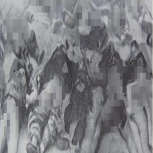 清末诡异老照片,31张万恶旧社会老照片