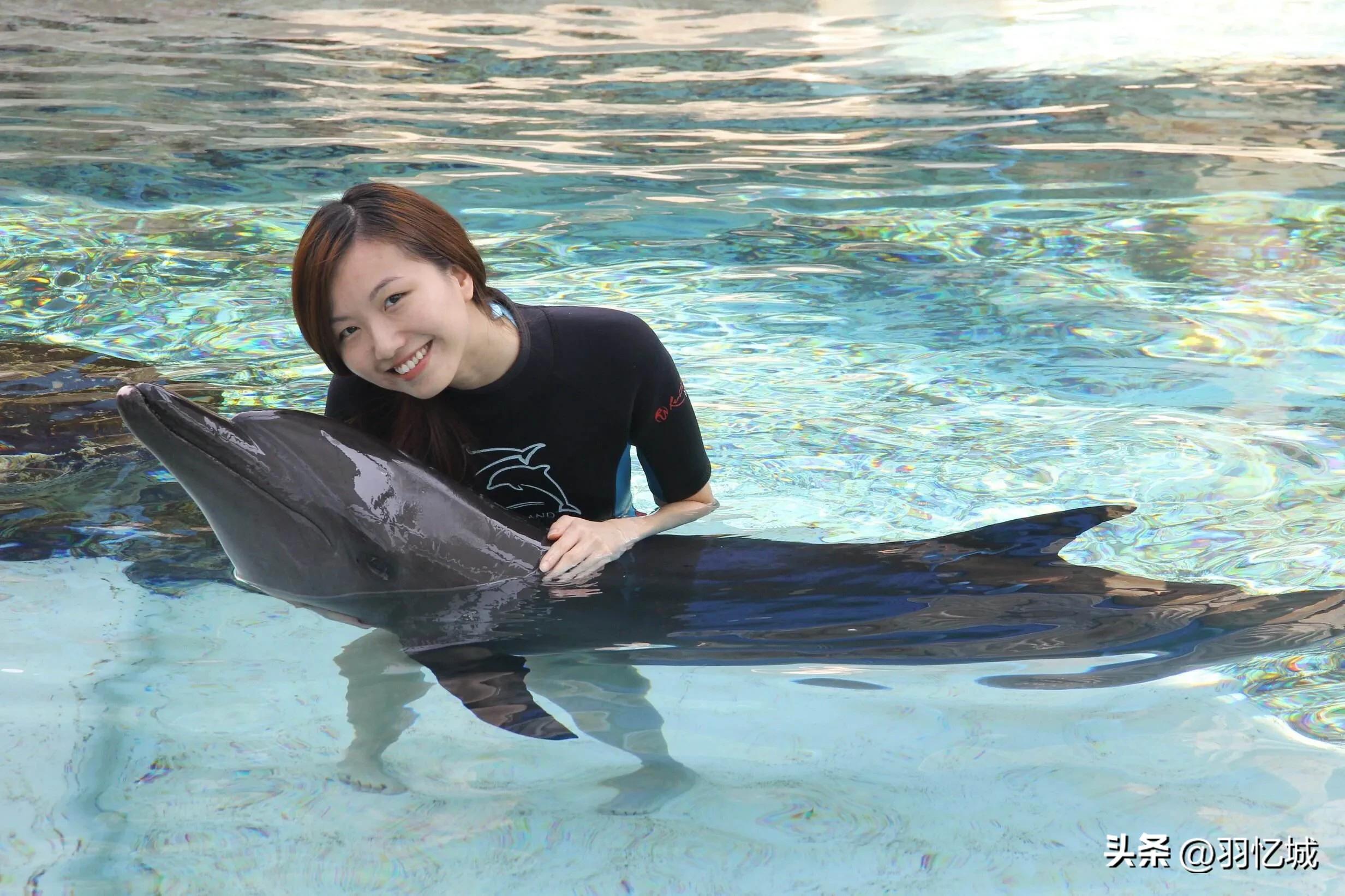 新加坡攻略超详细,新加坡宝藏旅游地推荐