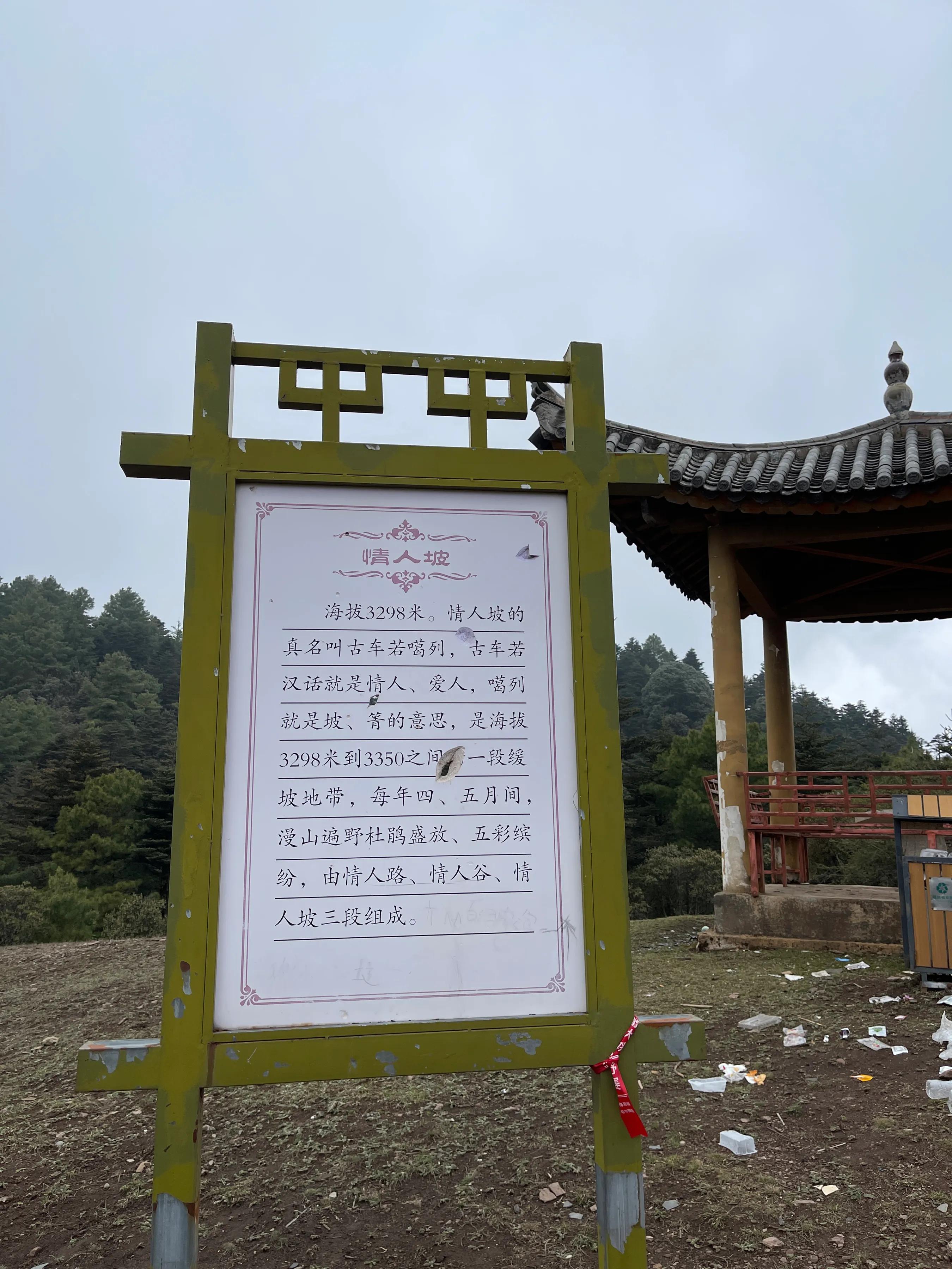 赶赴百草岭迎接夏天