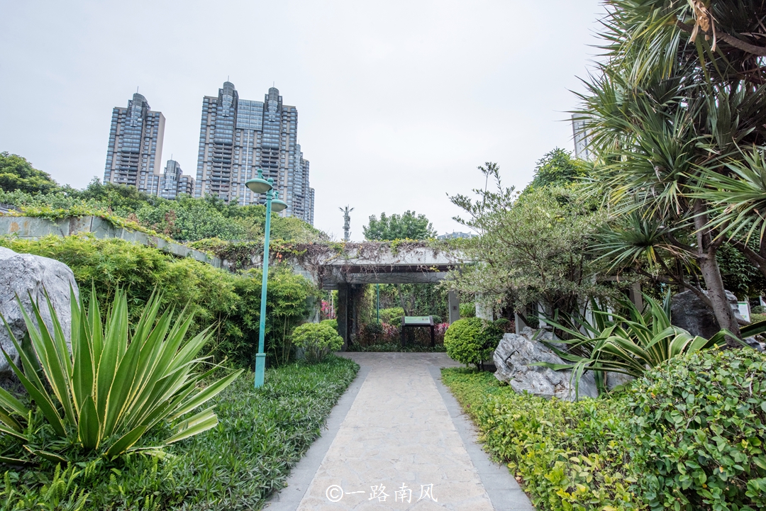 广州市gdp最高的区,广州市gdp在全国排第几