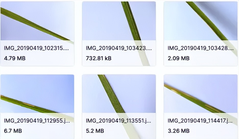目标检测数据集采集,目标检测图像数据集