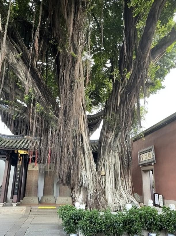 福建省福州市几个区,中国34个省级行政区域教学视频