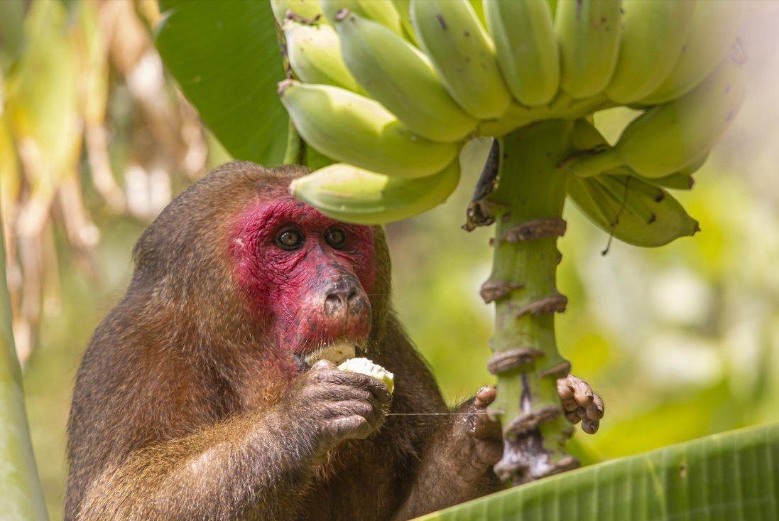 最真实的泰国图片,泰国十大风情图片高清版