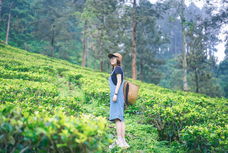 斯里兰卡旅游攻略必去景点,斯里兰卡旅游攻略最佳时间