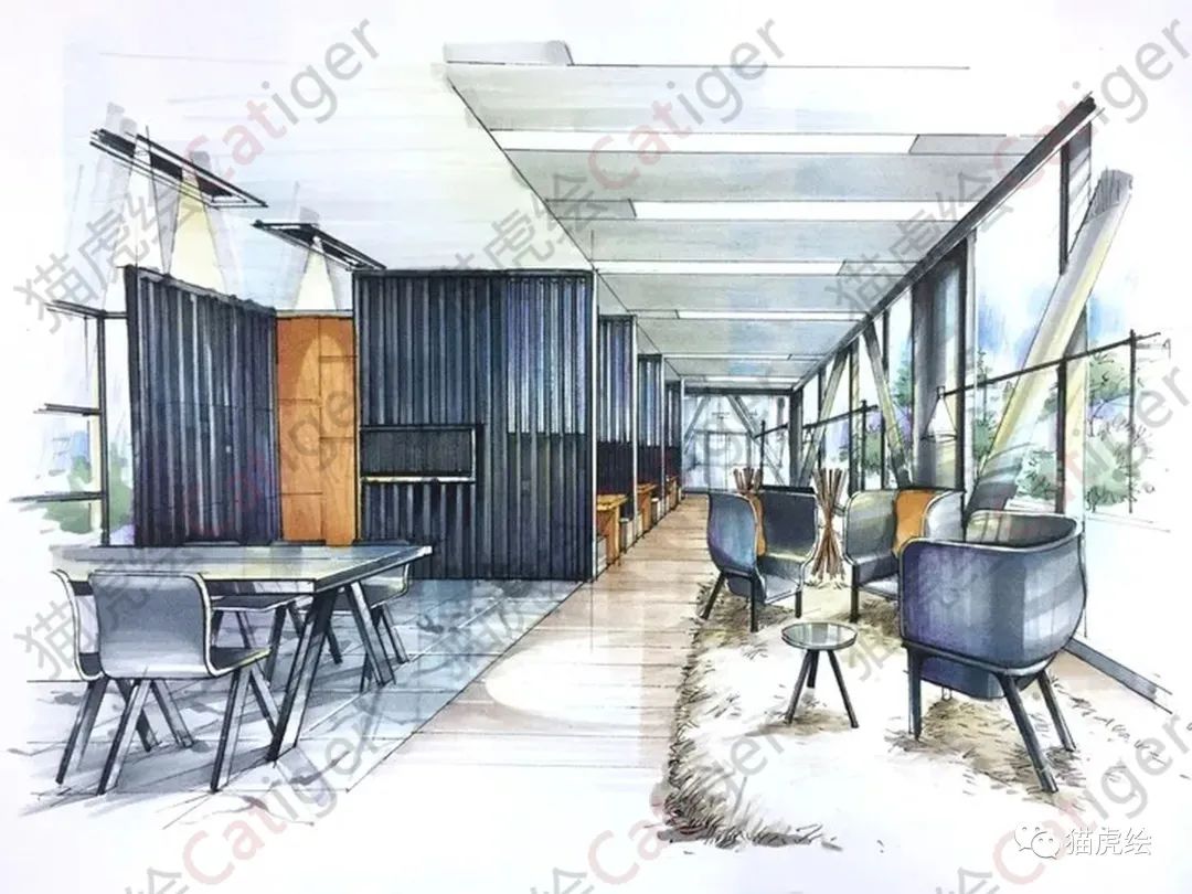 2022猫虎绘暑假手绘班招生简章「线上+线下」