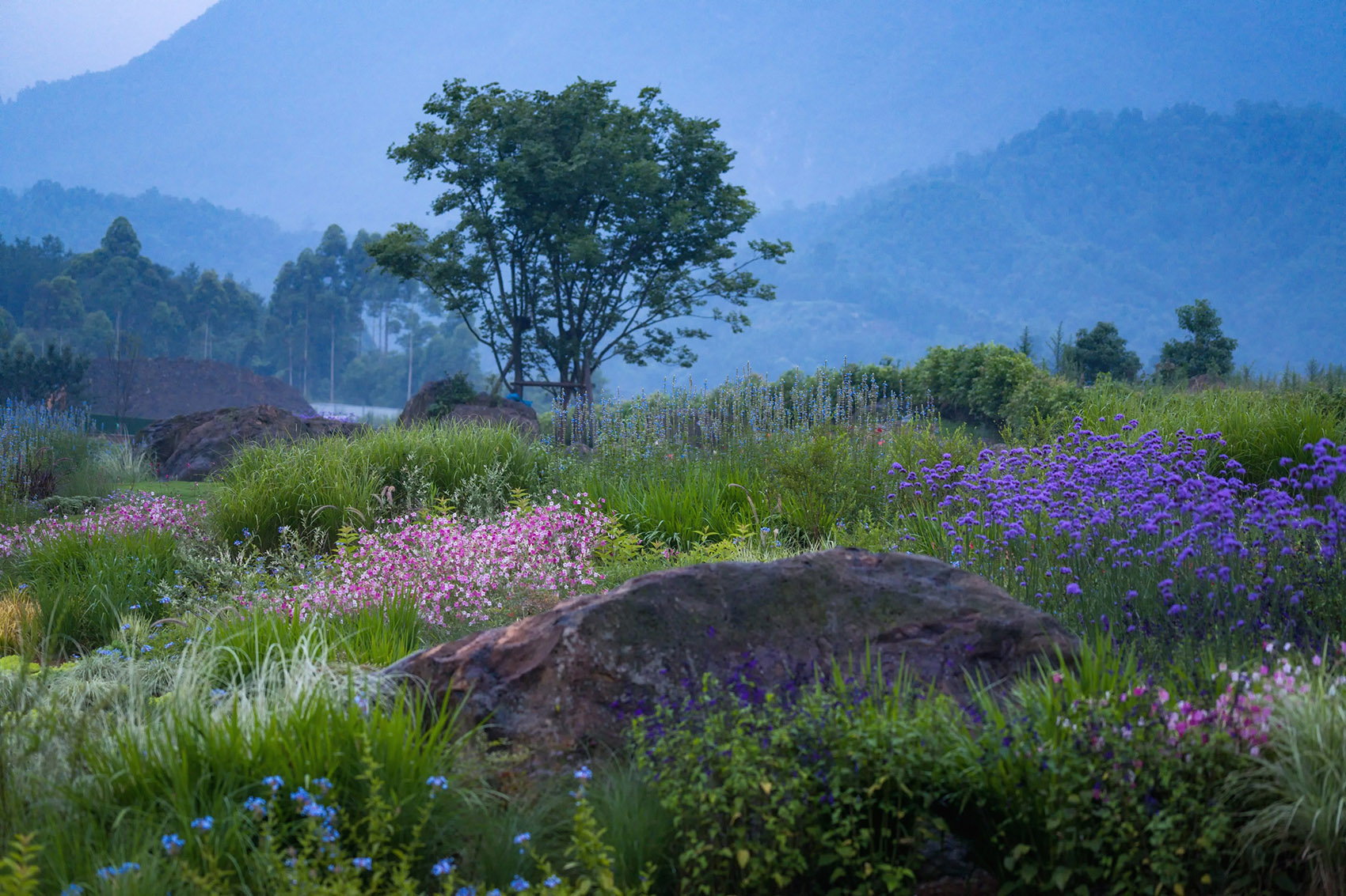 峨眉高桥小镇是哪个公司开发的,峨眉高桥小镇门票