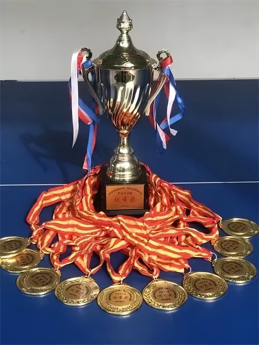 喜报我校喜获多项市级荣誉,喜报学校获殊荣